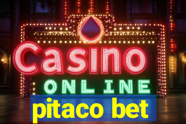 pitaco bet